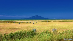 北海道・豊富町 オロロンラインの風景 3