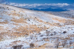 長野県・冬の霧ヶ峰の風景 2