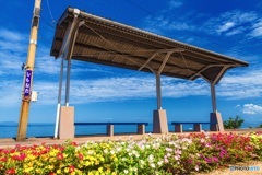 愛媛県・下灘駅の風景 1