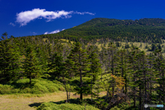 長野県・北横岳 初秋の登山道から眺める風景