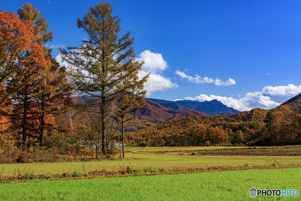 長野県・秋の川上村の風景 11
