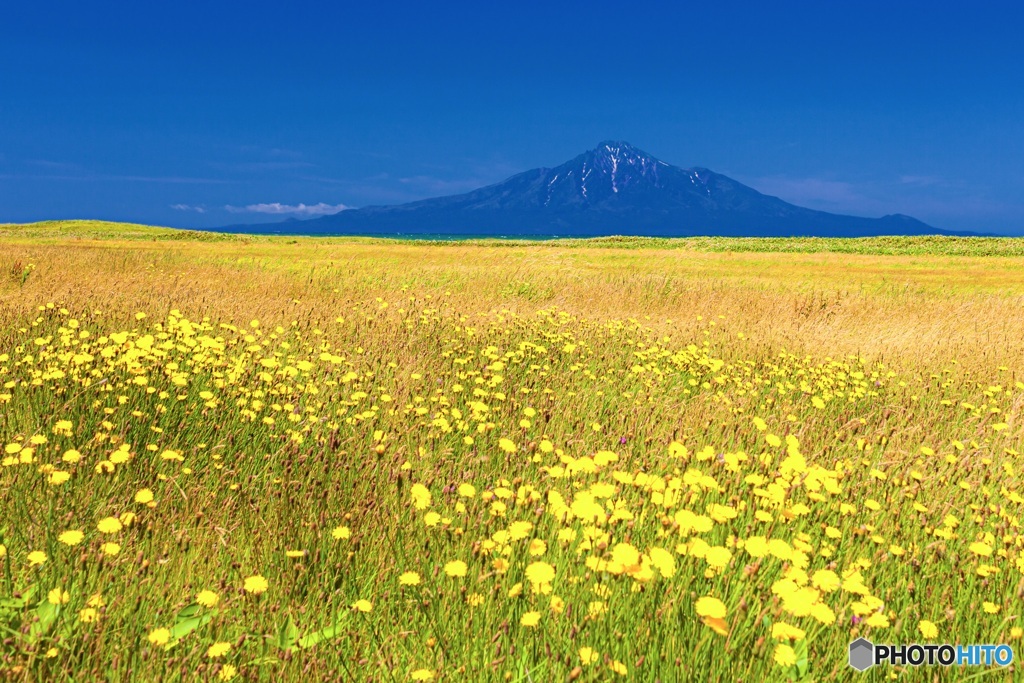北海道・豊富町 オロロンラインの風景 1