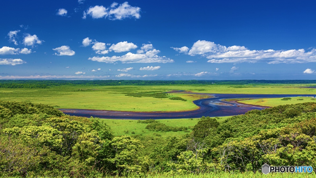 北海道・厚岸町 夏の霧多布湿原の風景 2