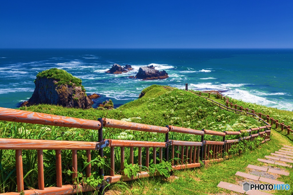 北海道・厚岸町 夏の霧多布岬の風景 7