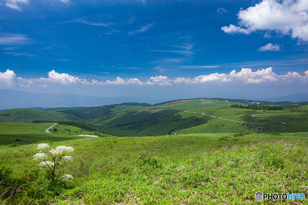 長野県・夏の車山高原の風景 1