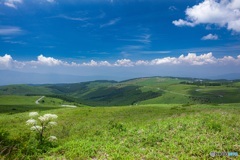 長野県・夏の車山高原の風景 1