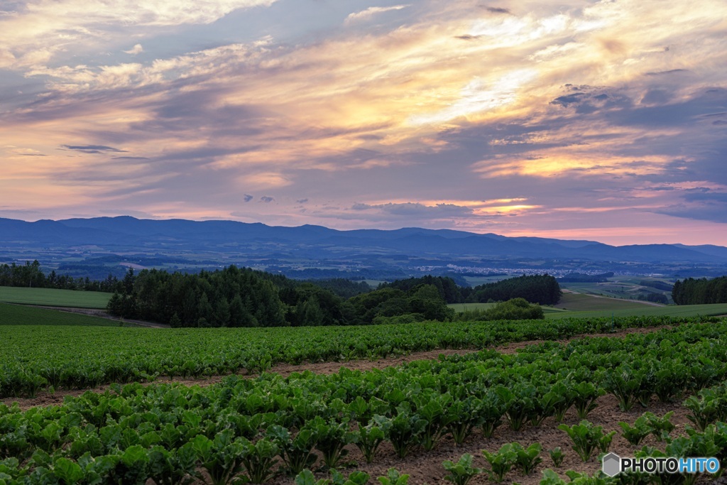 北海道・美瑛町 初夏の夕景 3
