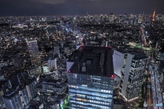 東京都・SHIBUYA SKYの夜景 4