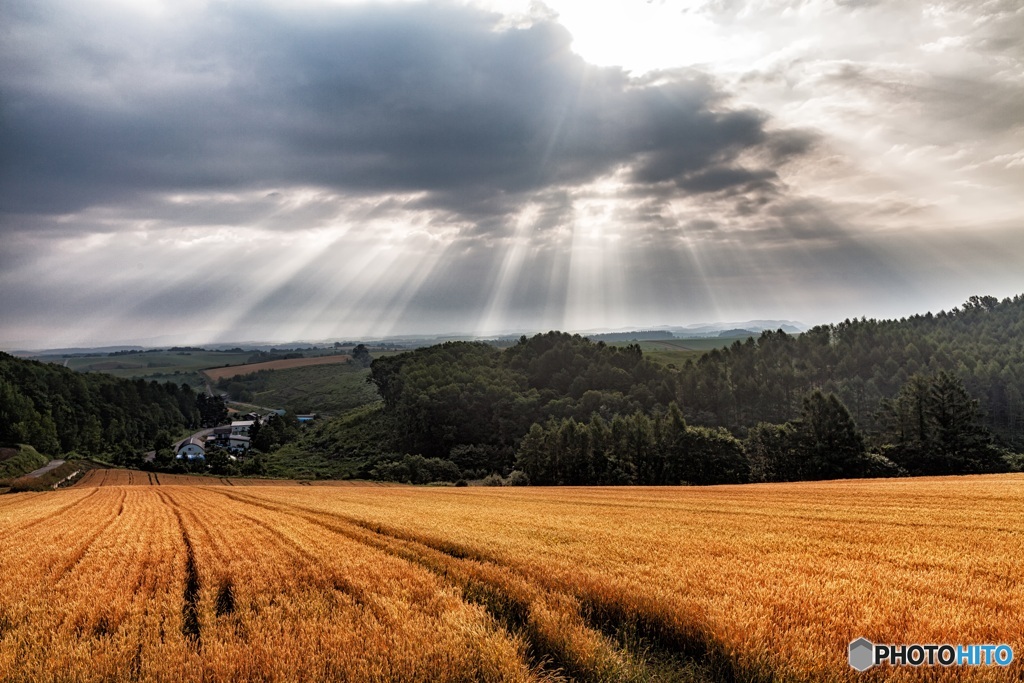 北海道・美瑛町 光のカーテン
