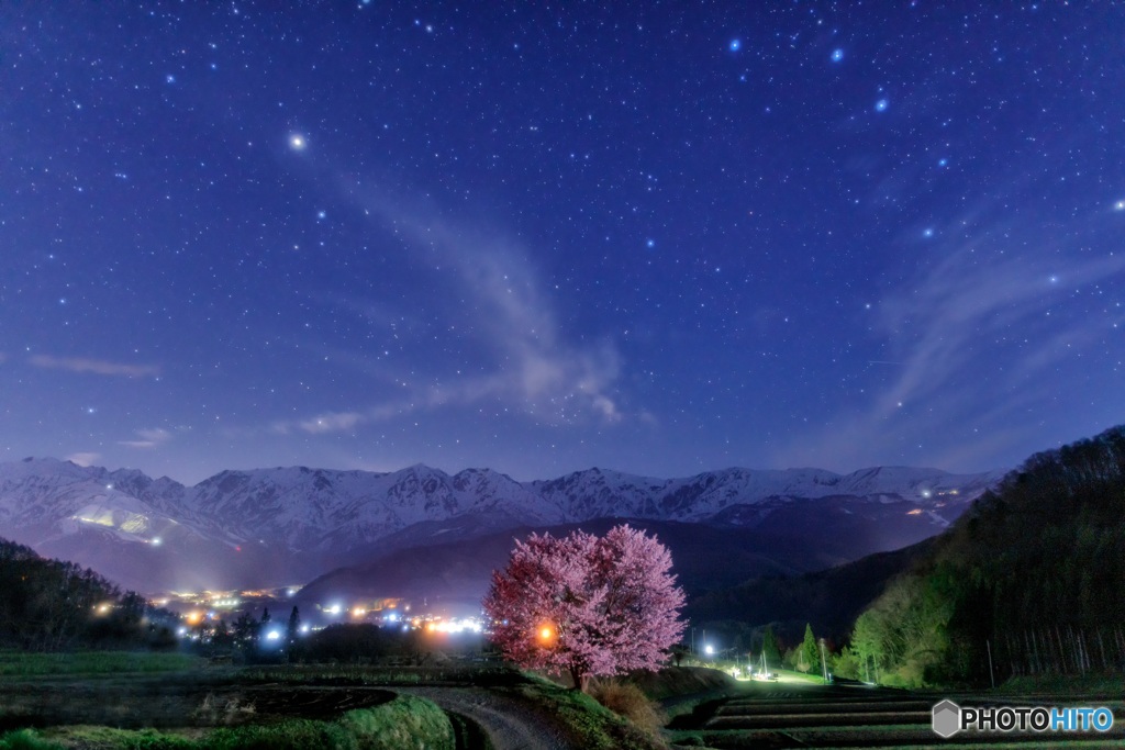 長野県・野平の一本桜と星空