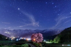 長野県・野平の一本桜と星空