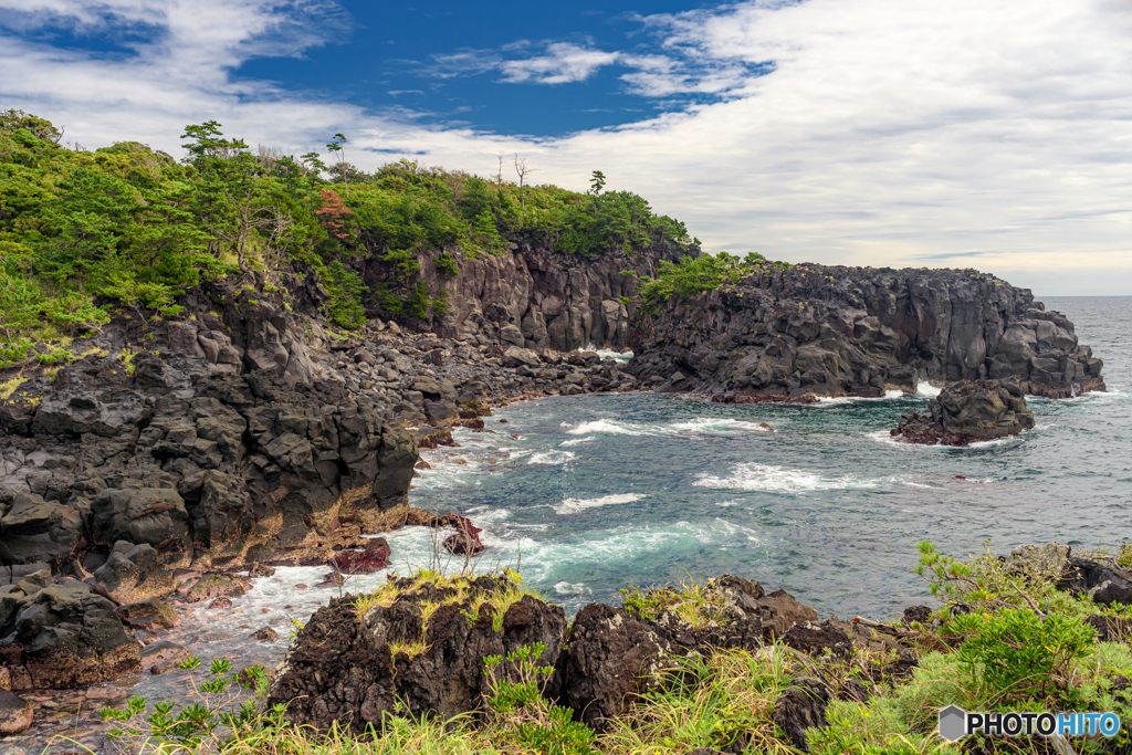 静岡県・伊東市 夏のイガイガ根の風景