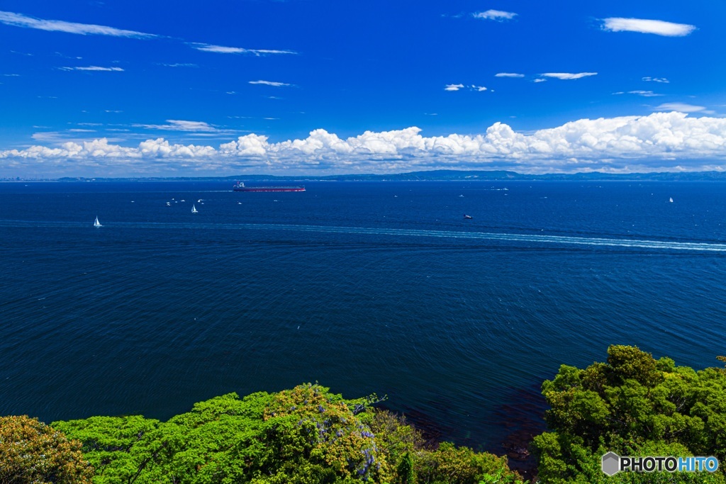 神奈川県・観音崎公園の風景 2