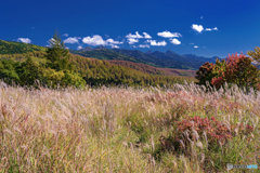 長野県・北横岳 初秋の登山道から眺める南八ヶ岳の風景