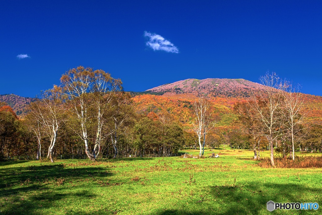 新潟県・妙高高原の紅葉 4