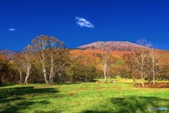 新潟県・妙高高原の紅葉 4
