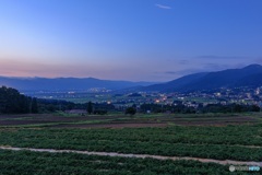 長野県・木島平村 高台から眺める村の夜景