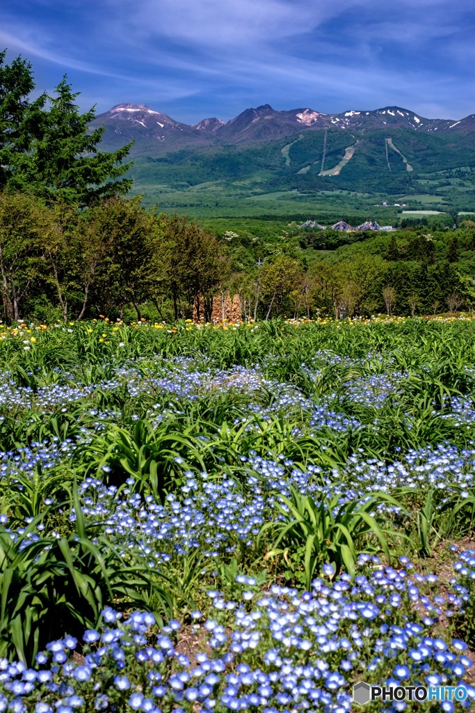 栃木県・那須町 春の那須フラワーワールドの風景 3