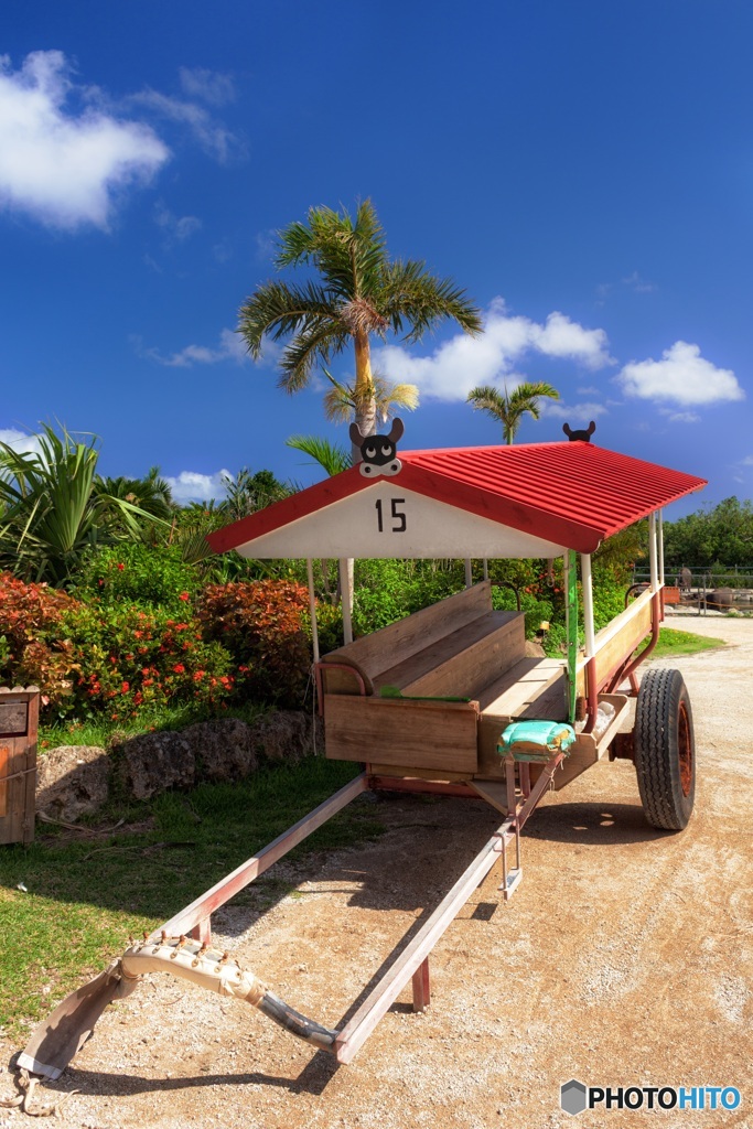 沖縄県・由布島 2