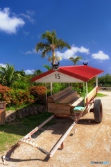 沖縄県・由布島 2