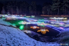 長野県・国営アルプスあづみの公園（堀金・穂高地区）のイルミネーション 2