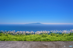 静岡県・伊東市 夏の大室山からの眺める伊豆大島の風景
