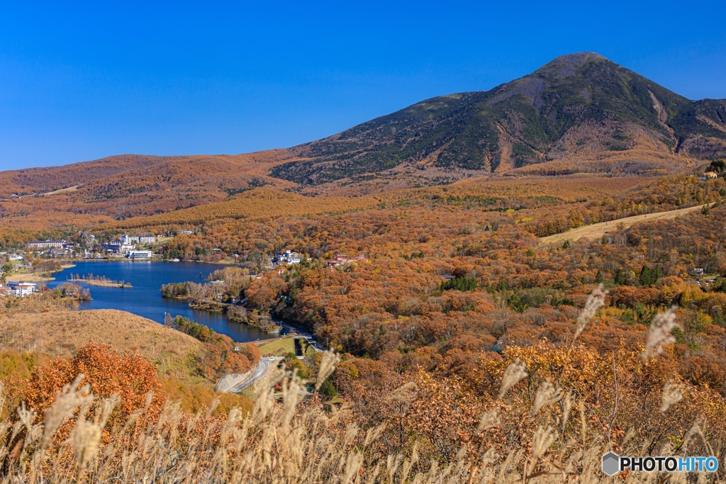 長野県・秋の白樺湖と蓼科山の風景