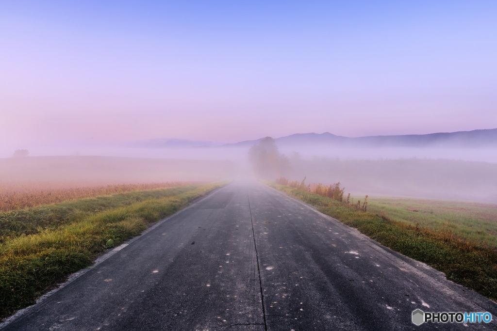 北海道・美瑛町 朝霧の美瑛町 1