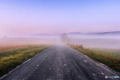 北海道・美瑛町 朝霧の美瑛町 1