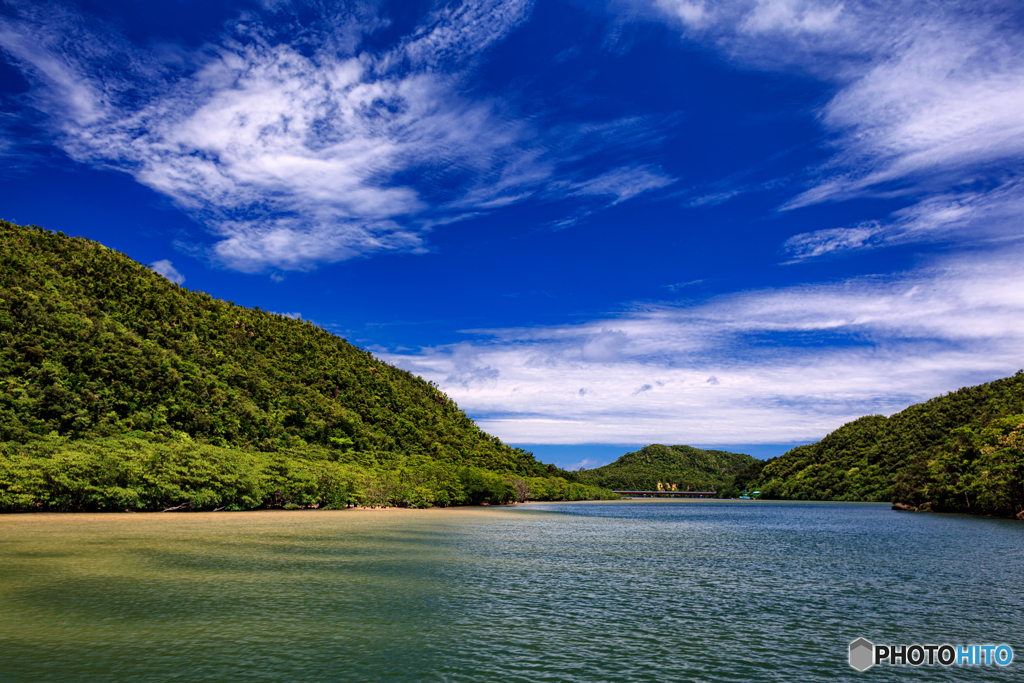 沖縄県・西表島 ジャングルと川の風景