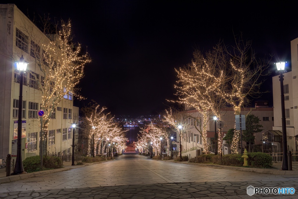 北海道・函館市 冬の八幡坂のイルミネーション