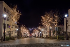 北海道・函館市 冬の八幡坂のイルミネーション