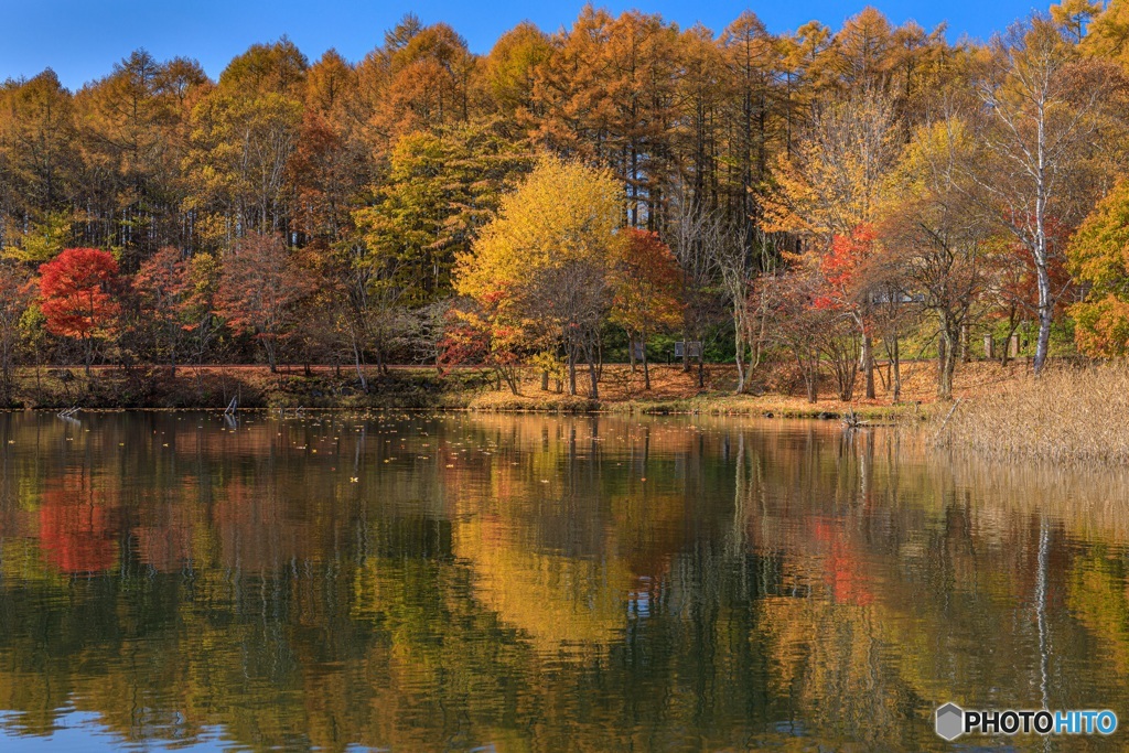 長野県・秋の女神湖の風景 15