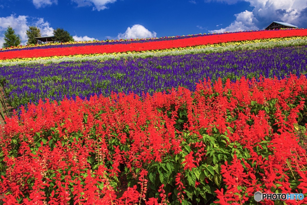 北海道・秋のかんのファーム 4