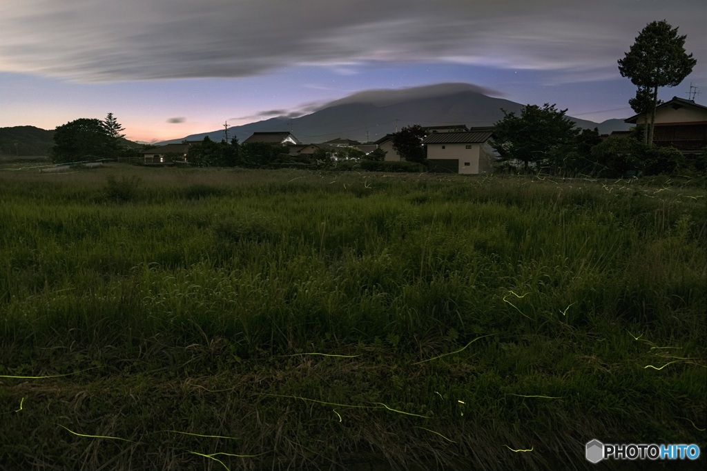 長野県・軽井沢町発地の蛍