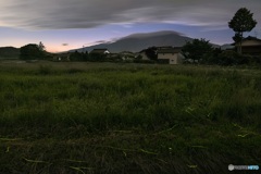 長野県・軽井沢町発地の蛍
