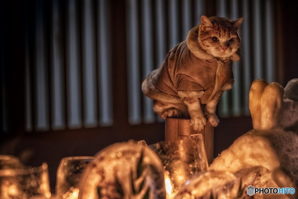 長野県・奈良井宿アイスキャンドル祭り 2