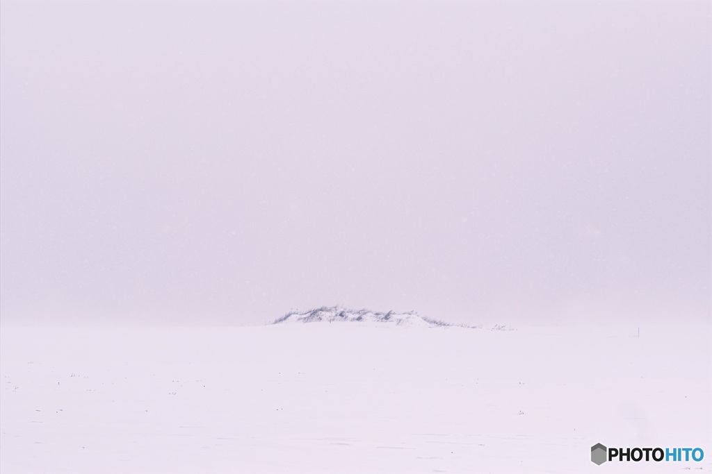 北海道・中標津町 雪の丘