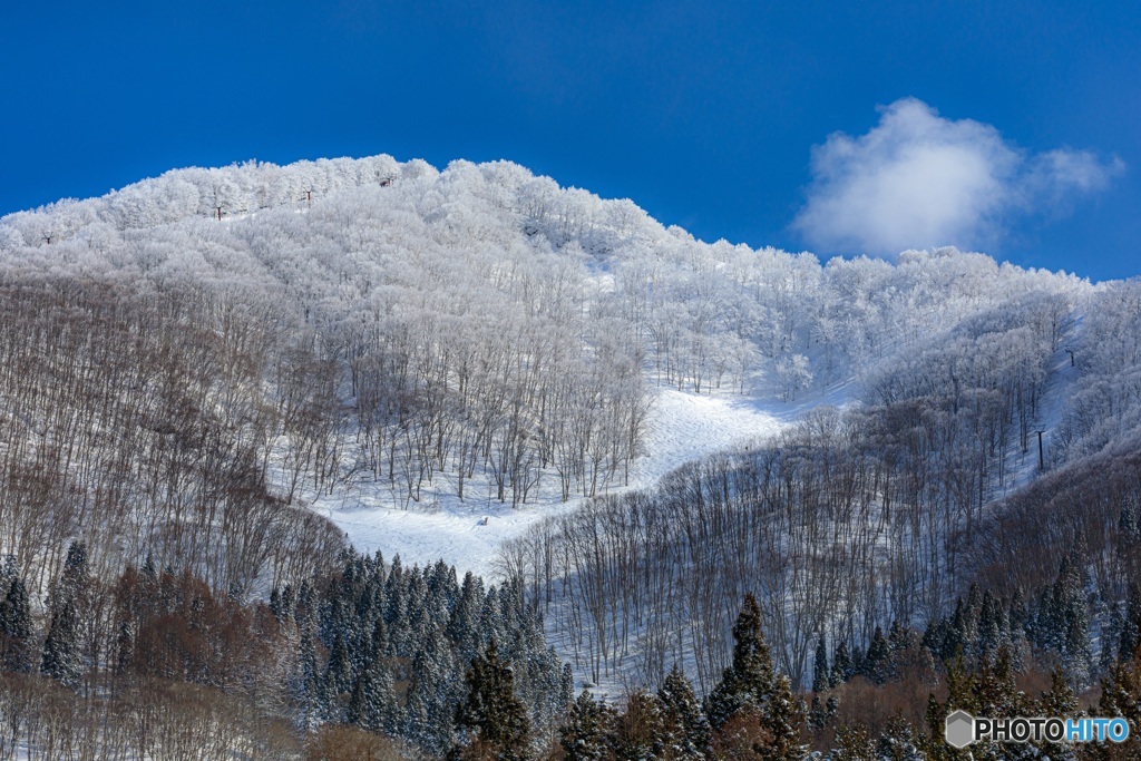 長野県・冬の斑尾高原の風景 1