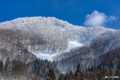 長野県・冬の斑尾高原の風景 1