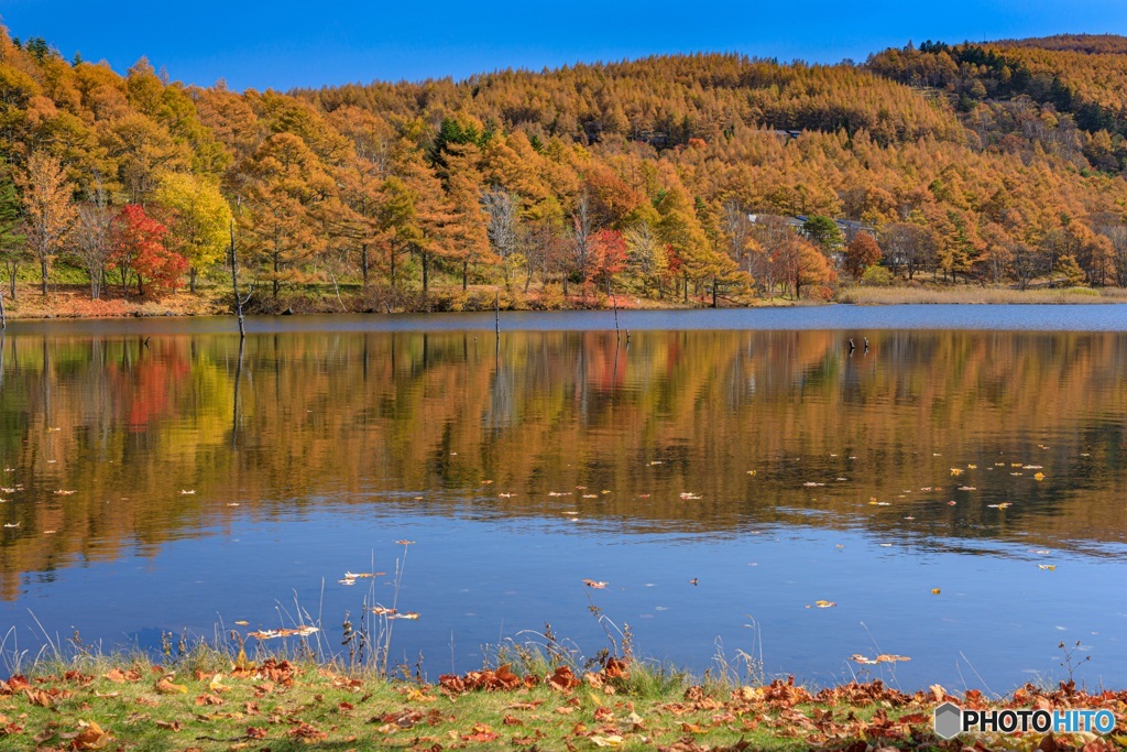 長野県・秋の女神湖の風景 10