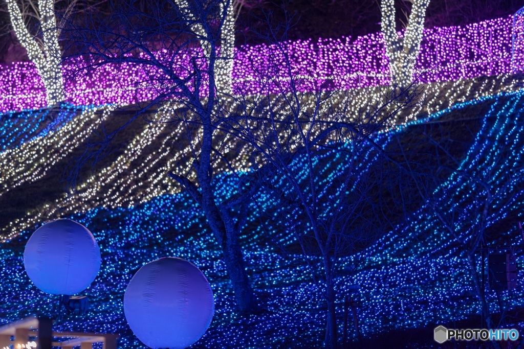 神奈川県・さがみ湖プレジャーフォレスト・イルミネーション 2