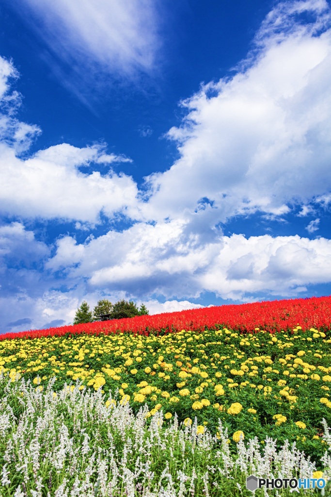 北海道・秋のかんのファーム 2