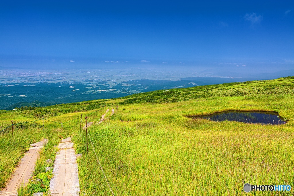 山形県・月山 弥陀ヶ原湿原