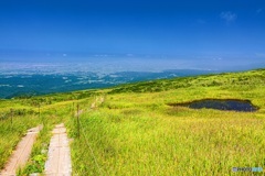 山形県・月山 弥陀ヶ原湿原