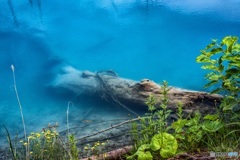 北海道・美瑛町 青い池