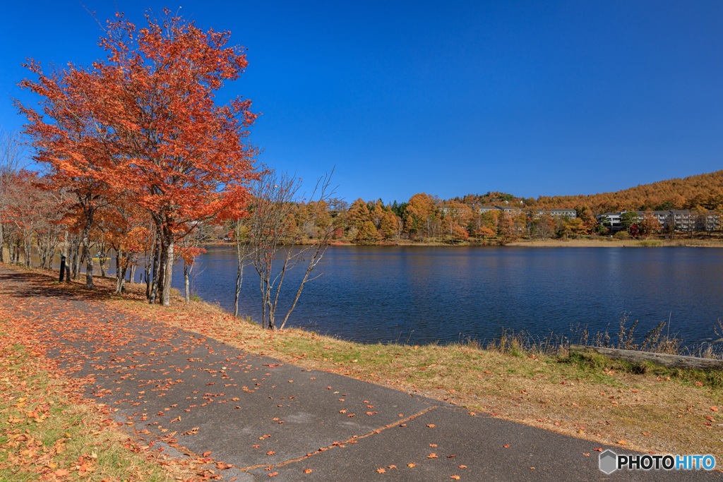 長野県・秋の女神湖の風景 4