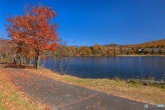 長野県・秋の女神湖の風景 4