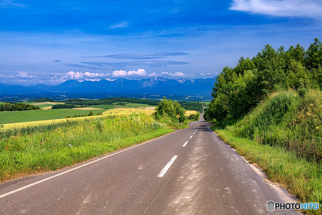 北海道・美瑛町 夏の丘の風景 8