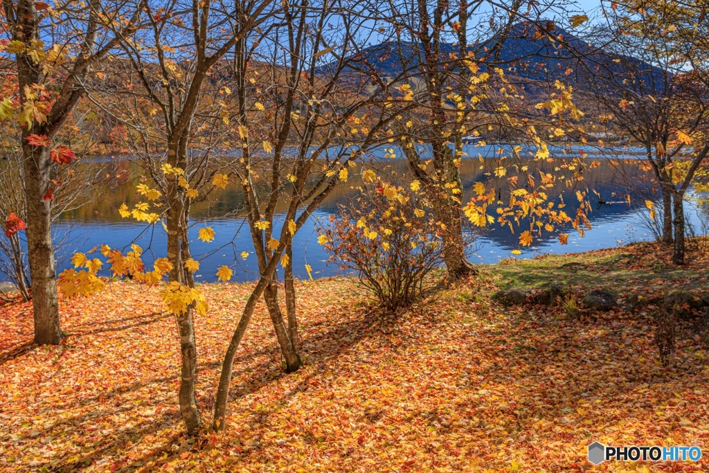長野県・秋の女神湖の風景 7